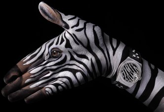 Stern Zebra - 2011